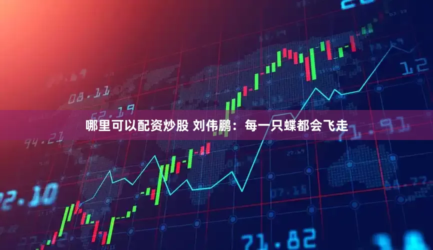 哪里可以配资炒股 刘伟鹏：每一只蝶都会飞走