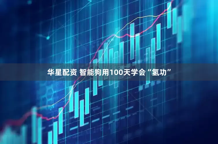 华星配资 智能狗用100天学会“氢功”